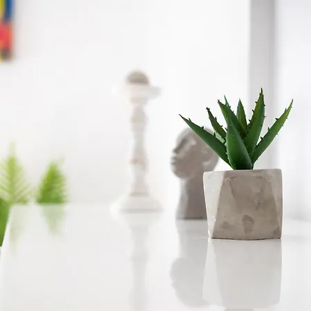 Holidays Vibes Mamaia Nord Navodari